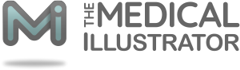 The Medical Illustrator Logo